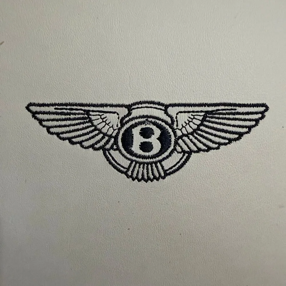 Bentley Wing Logo Leather Down Feather Throw Pillows Set of 2 Old Money Luxury